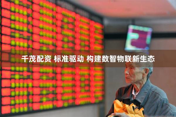 千茂配资 标准驱动 构建数智物联新生态